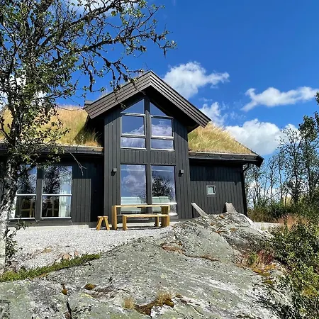 Bjorkebo In Al - In Hiking And Skiing Area Holiday home *