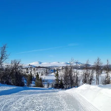 Bjorkebo In Al - In Hiking And Skiing Area
