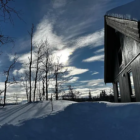 Bjorkebo In Al - In Hiking And Skiing Area Ferienhaus *