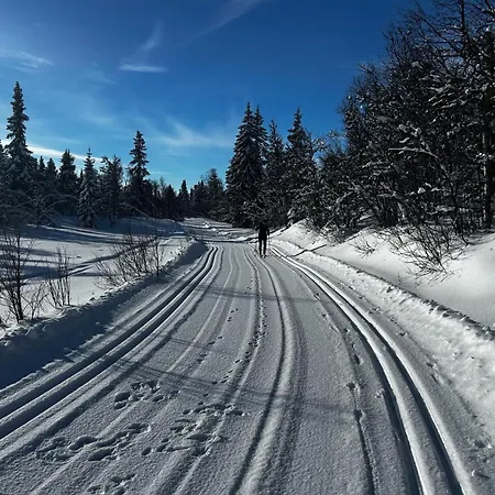 Bjorkebo In Al - In Hiking And Skiing Area Ferienhaus