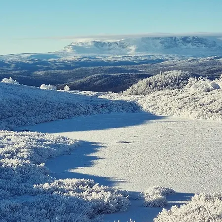 Ferienhaus Bjorkebo In Al - In Hiking And Skiing Area Ål