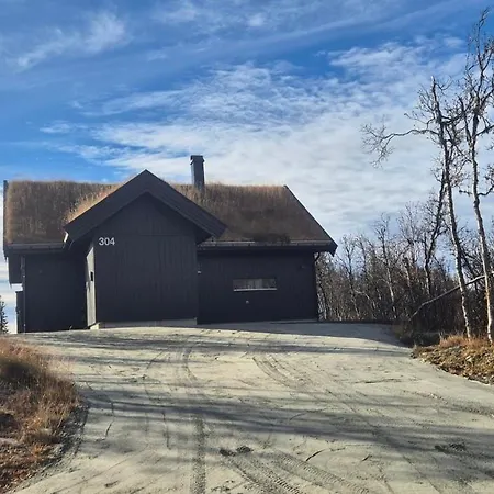 Bjorkebo In Al - In Hiking And Skiing Area Holiday home Al