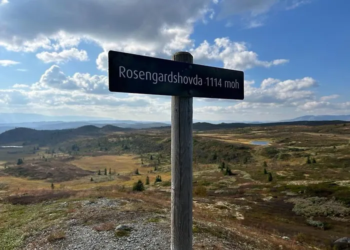Bjorkebo In Al - In Hiking And Skiing Area Tatil Evi *