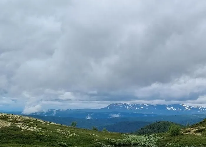 Bjorkebo In Al - In Hiking And Skiing Area * Ål