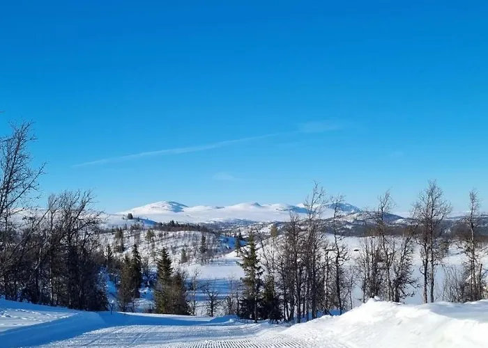 Bjorkebo In Al - In Hiking And Skiing Area