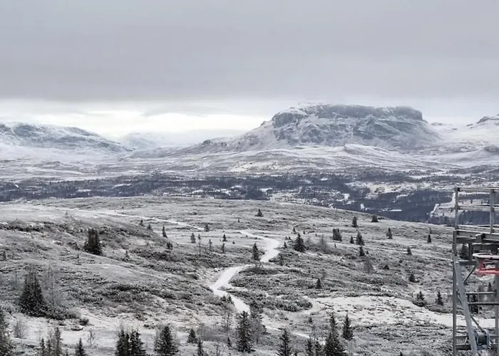 펜션 Bjorkebo In Al - In Hiking And Skiing Area