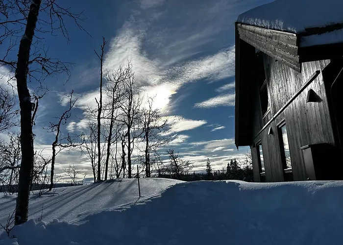 Bjorkebo In Al - In Hiking And Skiing Area Tatil Evi *