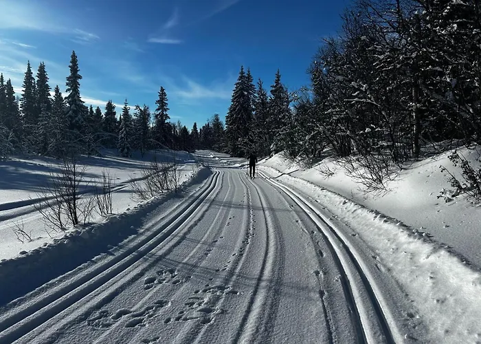 Bjorkebo In Al - In Hiking And Skiing Area 펜션