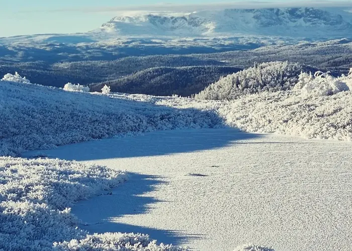 펜션 Bjorkebo In Al - In Hiking And Skiing Area 알